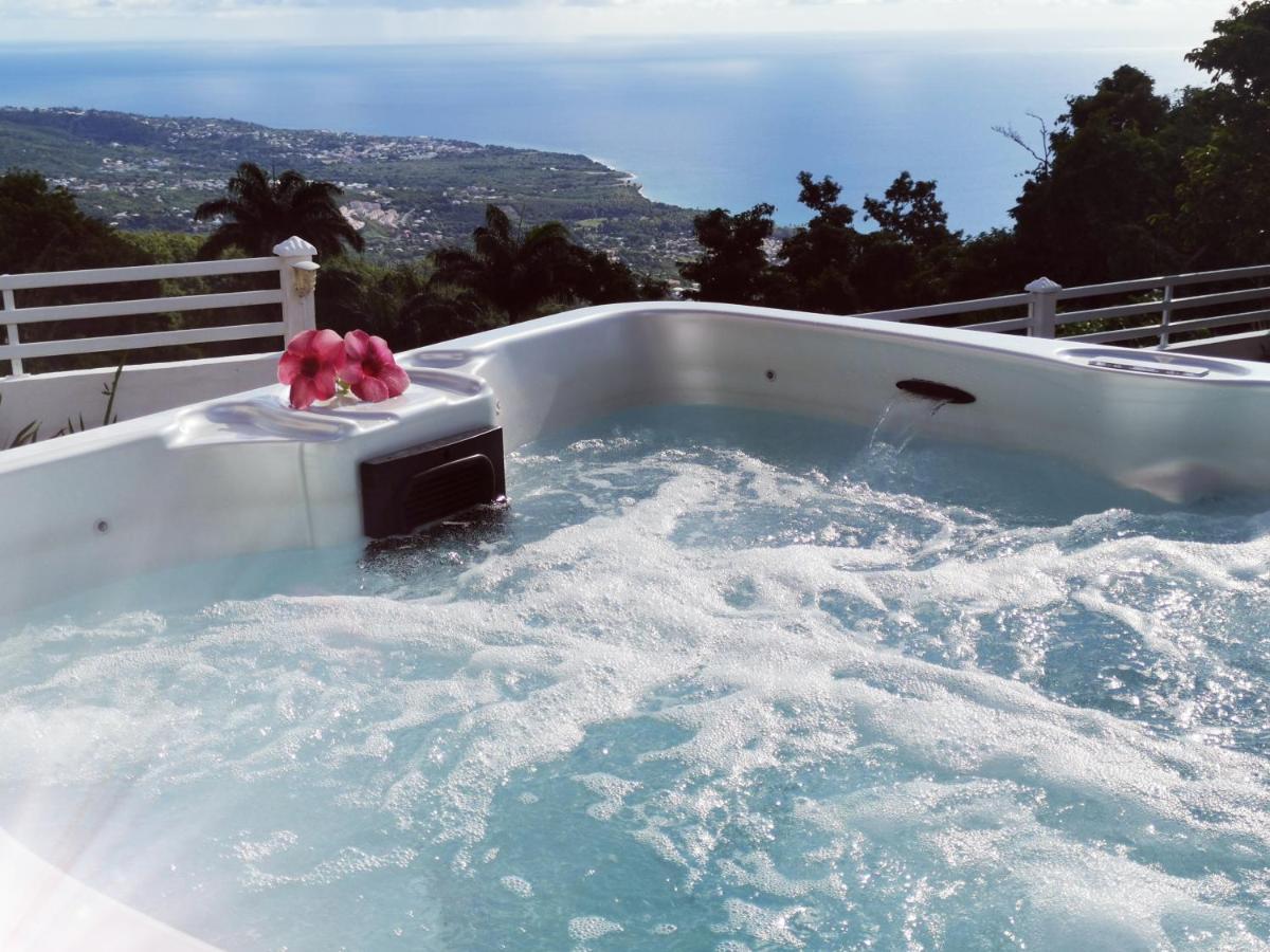Belavue & Spa Prive, Avec Vue Panoramique Sur Mer, Jardin Creole Paysager, Jacuzzi Prive Bouillante Exterior photo
