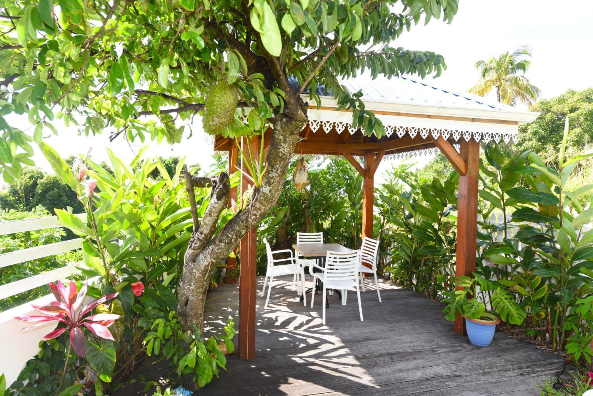 Belavue & Spa Prive, Avec Vue Panoramique Sur Mer, Jardin Creole Paysager, Jacuzzi Prive Bouillante Exterior photo